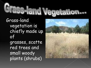 Grass-land Vegetation…Grass-land vegetation is chiefly made up of grasses, scattered trees and small woody plants (shrubs)