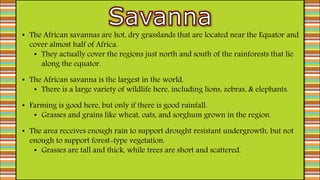 • The African savannas are hot, dry grasslands that are located near the Equator and
cover almost half of Africa.
• They actually cover the regions just north and south of the rainforests that lie
along the equator.
• The African savanna is the largest in the world.
• There is a large variety of wildlife here, including lions, zebras, & elephants.
• Farming is good here, but only if there is good rainfall.
• Grasses and grains like wheat, oats, and sorghum grown in the region.
• The area receives enough rain to support drought resistant undergrowth, but not
enough to support forest-type vegetation.
• Grasses are tall and thick, while trees are short and scattered.
 