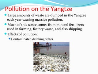 Pollution on the Yangtze 
Large amounts of waste are dumped in the Yangtze 
each year causing massive pollution. 
Much of this waste comes from mineral fertilizers 
used in farming, factory waste, and also shipping. 
Effects of pollution: 
Contaminated drinking water 
 
