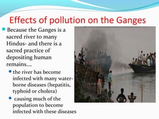 Effects of pollution on the Ganges 
Because the Ganges is a 
sacred river to many 
Hindus- and there is a 
sacred practice of 
depositing human 
remains…. 
the river has become 
infected with many water-borne 
diseases (hepatitis, 
typhoid or cholera) 
 causing much of the 
population to become 
infected with these diseases 
