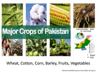 Wheat, Cotton, Corn, Barley, Fruits, Vegetables
Muhammad Malik Science Home Work 25 Aug 15
 
