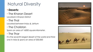 Geography of pakistan | PPTX
