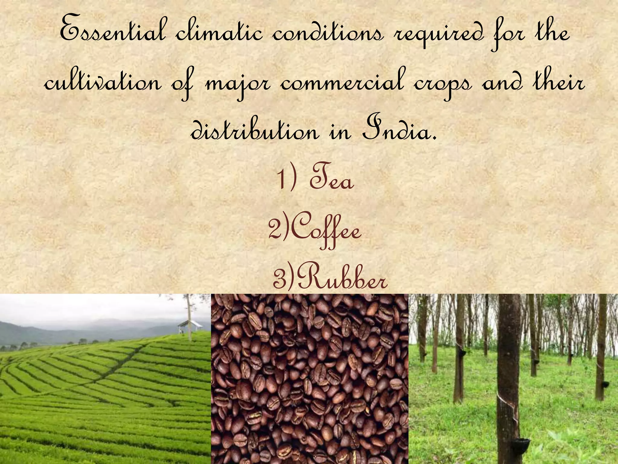 Essential climatic conditions required for the
cultivation of major commercial crops and their
distribution in India.
1) Tea
2)Coffee
3)Rubber
 
