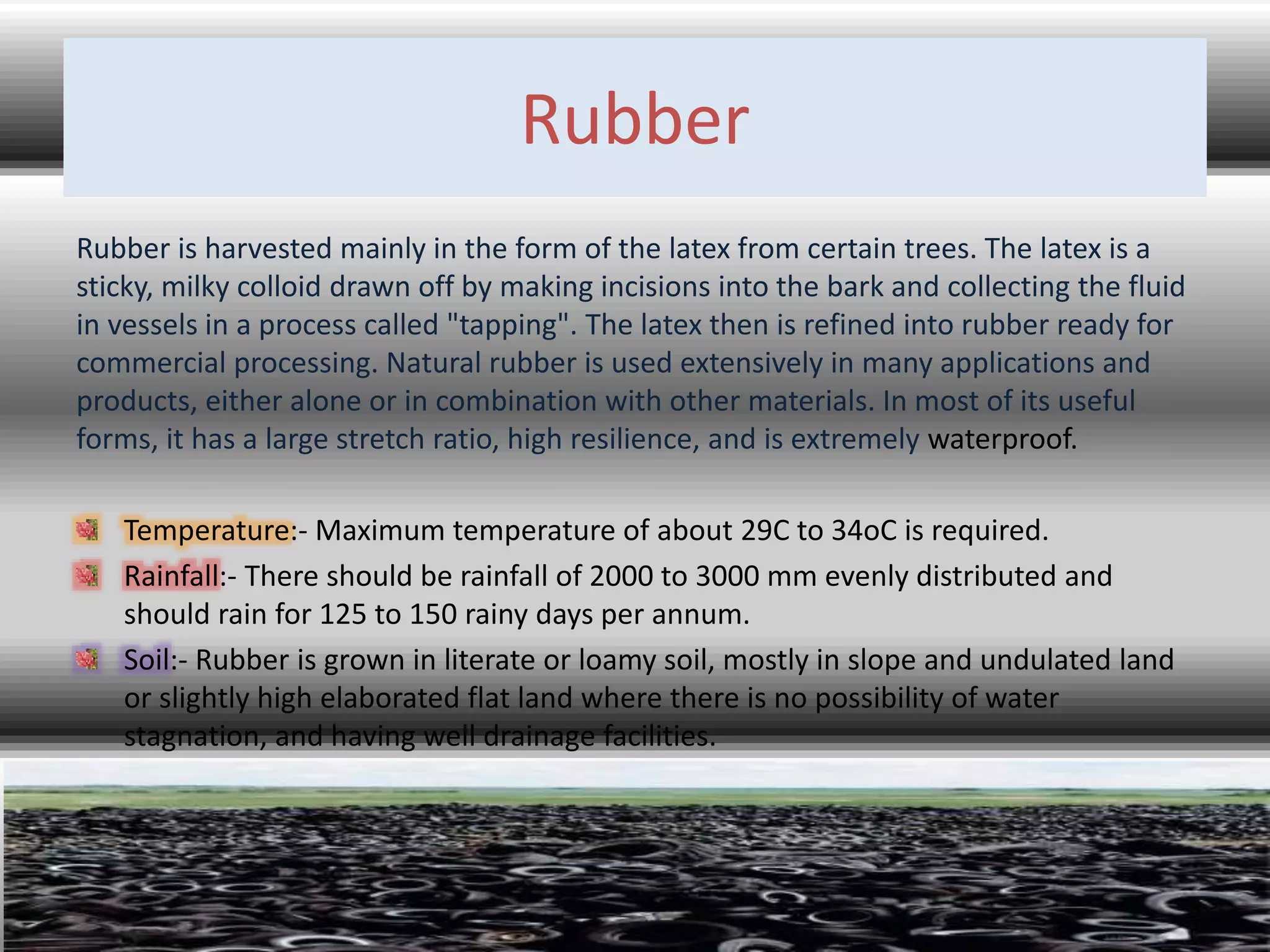 Rubber
Rubber is harvested mainly in the form of the latex from certain trees. The latex is a
sticky, milky colloid drawn off by making incisions into the bark and collecting the fluid
in vessels in a process called "tapping". The latex then is refined into rubber ready for
commercial processing. Natural rubber is used extensively in many applications and
products, either alone or in combination with other materials. In most of its useful
forms, it has a large stretch ratio, high resilience, and is extremely waterproof.
Temperature:- Maximum temperature of about 29C to 34oC is required.
Rainfall:- There should be rainfall of 2000 to 3000 mm evenly distributed and
should rain for 125 to 150 rainy days per annum.
Soil:- Rubber is grown in literate or loamy soil, mostly in slope and undulated land
or slightly high elaborated flat land where there is no possibility of water
stagnation, and having well drainage facilities.
 