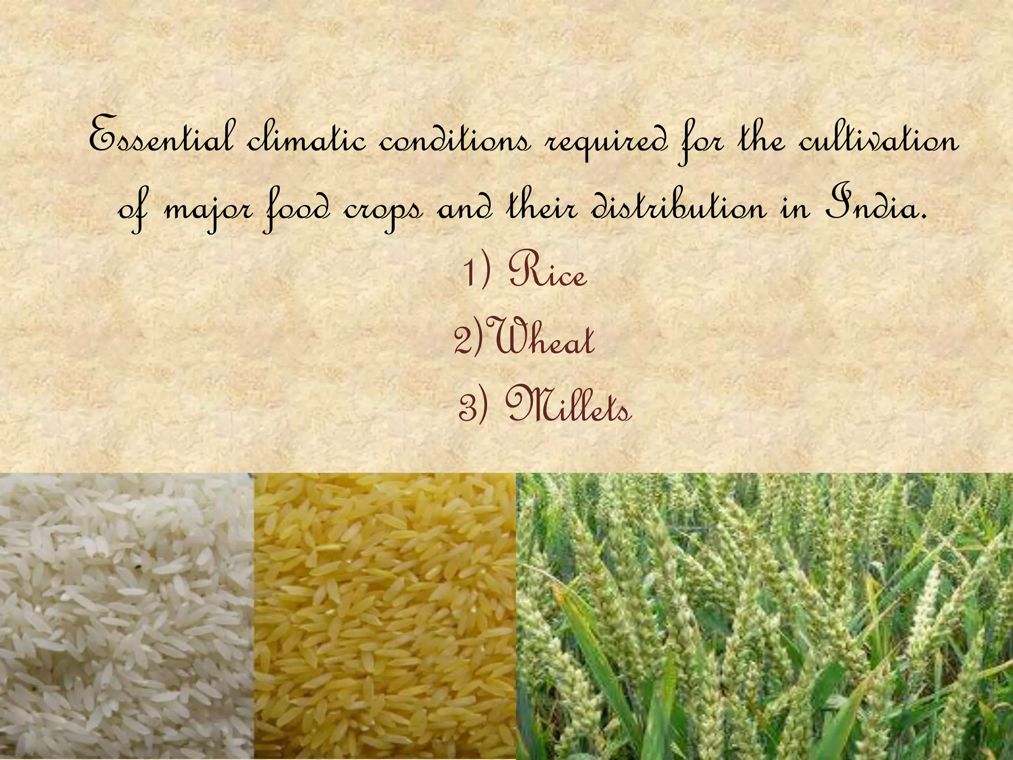 Essential climatic conditions required for the cultivation
of major food crops and their distribution in India.
1) Rice
2)Wheat
3) Millets
 