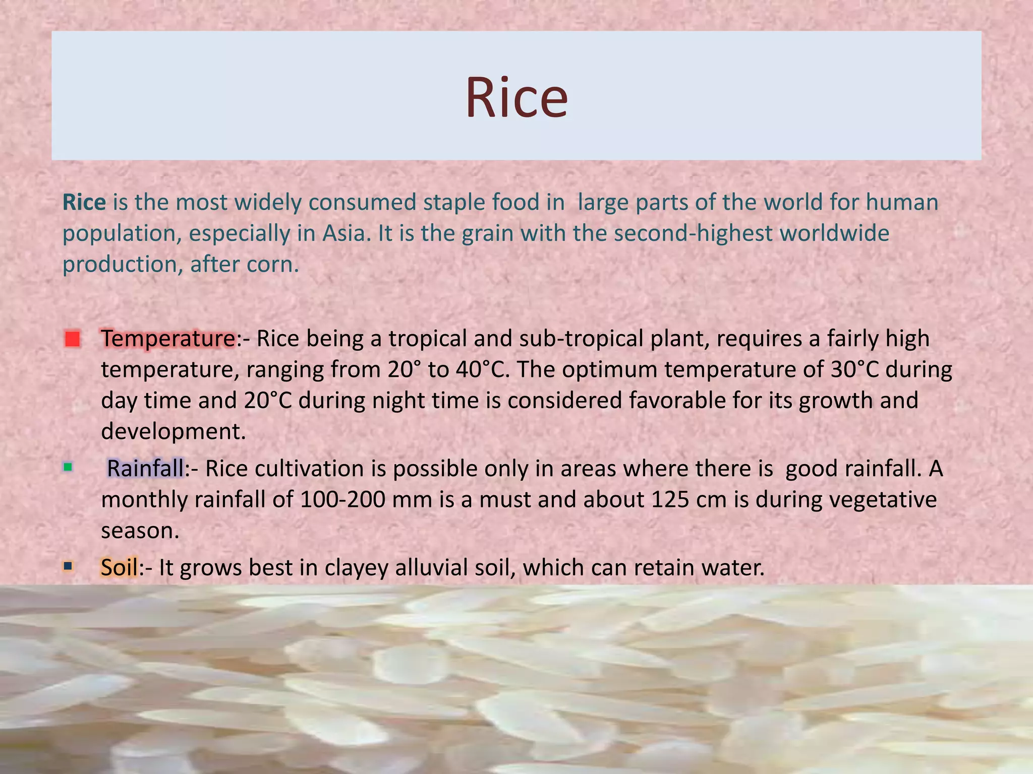 Rice
Rice is the most widely consumed staple food in large parts of the world for human
population, especially in Asia. It is the grain with the second-highest worldwide
production, after corn.
Temperature:- Rice being a tropical and sub-tropical plant, requires a fairly high
temperature, ranging from 20° to 40°C. The optimum temperature of 30°C during
day time and 20°C during night time is considered favorable for its growth and
development.
 Rainfall:- Rice cultivation is possible only in areas where there is good rainfall. A
monthly rainfall of 100-200 mm is a must and about 125 cm is during vegetative
season.
 Soil:- It grows best in clayey alluvial soil, which can retain water.
 