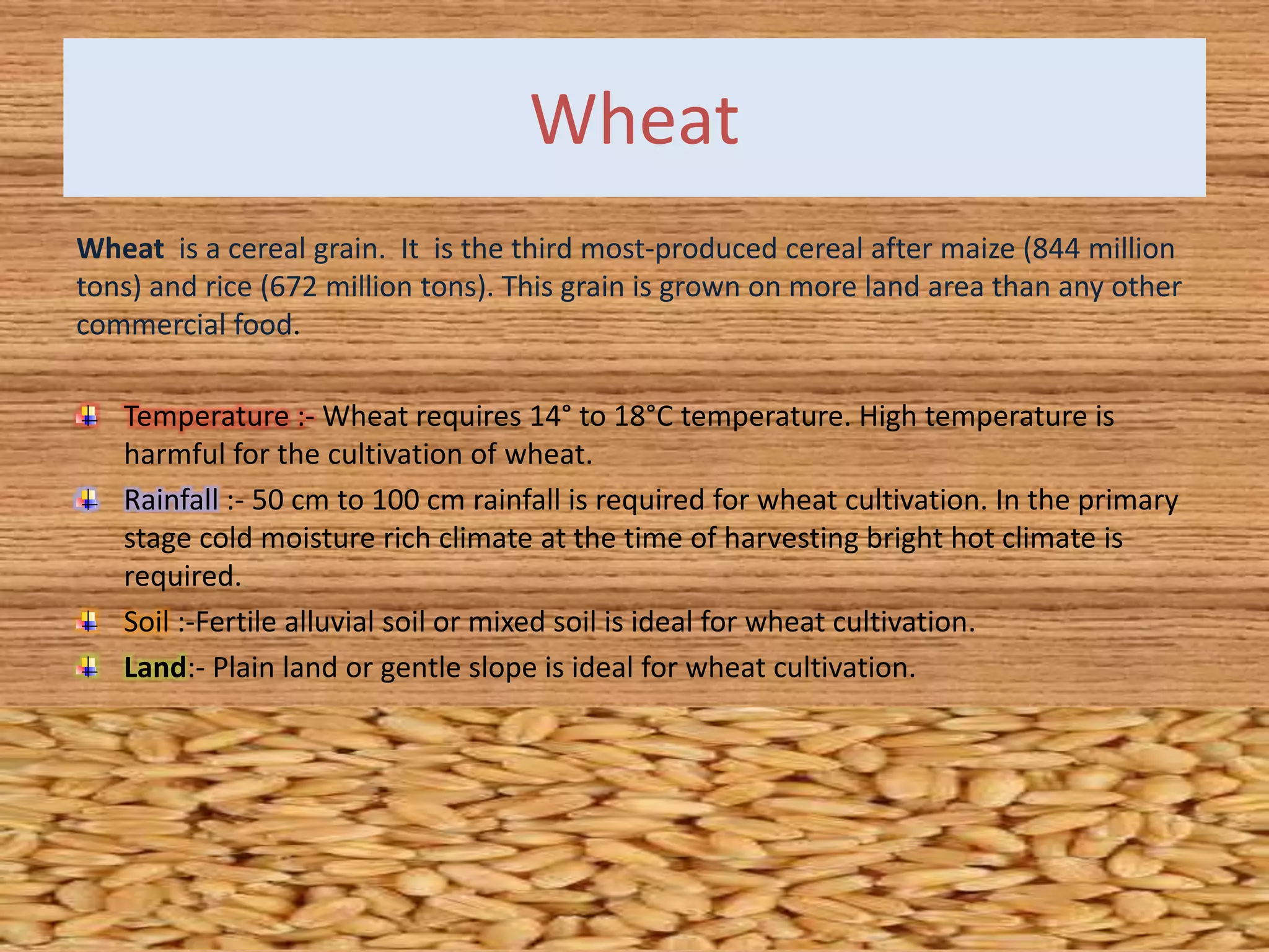 Wheat
Wheat is a cereal grain. It is the third most-produced cereal after maize (844 million
tons) and rice (672 million tons). This grain is grown on more land area than any other
commercial food.
Temperature :- Wheat requires 14° to 18°C temperature. High temperature is
harmful for the cultivation of wheat.
Rainfall :- 50 cm to 100 cm rainfall is required for wheat cultivation. In the primary
stage cold moisture rich climate at the time of harvesting bright hot climate is
required.
Soil :-Fertile alluvial soil or mixed soil is ideal for wheat cultivation.
Land:- Plain land or gentle slope is ideal for wheat cultivation.
 