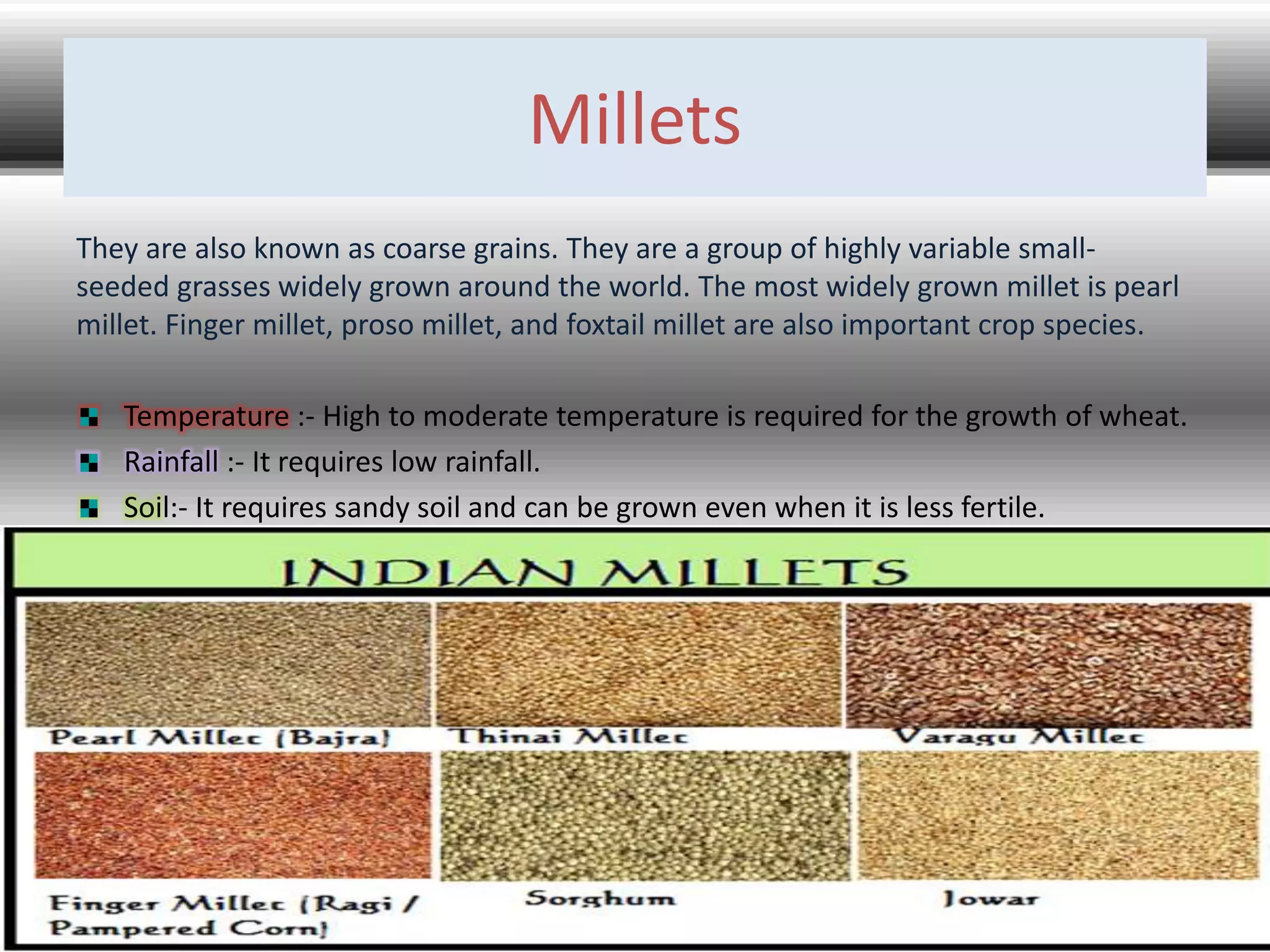 Millets
They are also known as coarse grains. They are a group of highly variable small-
seeded grasses widely grown around the world. The most widely grown millet is pearl
millet. Finger millet, proso millet, and foxtail millet are also important crop species.
Temperature :- High to moderate temperature is required for the growth of wheat.
Rainfall :- It requires low rainfall.
Soil:- It requires sandy soil and can be grown even when it is less fertile.
 