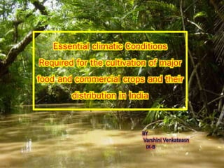 Essential climatic Conditions
Required for the cultivation of major
food and commercial crops and their
distribution in India
 