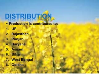 DISTRIBUTION
 Production is contributed to:
1. UP
2. Rajasthan
3. Punjab
4. Haryana
5. Assam
6. Bihar
7. West Bengal
8. Odisha
 