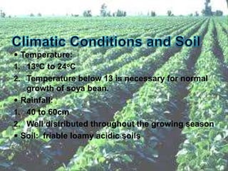 Temperature:
1. 13oC to 24oC
2. Temperature below 13 is necessary for normal
growth of soya bean.
 Rainfall:
1. 40 to 60cm
2. Well distributed throughout the growing season
 Soil: friable loamy acidic soils
 