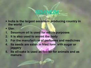  India is the largest sesamum producing country in
the world
 Use:
1. Sesamum oil is used for edible purposes
2. It is also used to anoint the body
3. For the manufacture of perfumes and medicines
4. Its seeds are eaten in fried form with sugar or
jaggery
5. Its oil-cake is used as fodder for animals and as
manure.
 