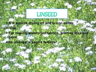  It is a quick drying oil and is non edible
 Use:
 For making waterproof fabrics, printing inks and
paint
 Its oil-cake is used s fertilizer
 