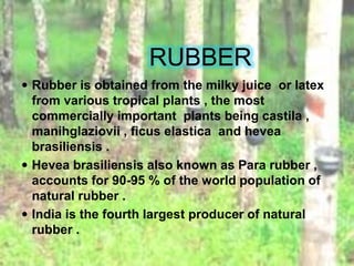 RUBBER
 Rubber is obtained from the milky juice or latex
from various tropical plants , the most
commercially important plants being castila ,
manihglaziovii , ficus elastica and hevea
brasiliensis .
 Hevea brasiliensis also known as Para rubber ,
accounts for 90-95 % of the world population of
natural rubber .
 India is the fourth largest producer of natural
rubber .
 