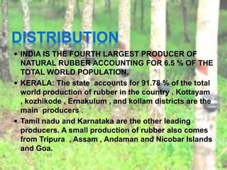DISTRIBUTION
 INDIA IS THE FOURTH LARGEST PRODUCER OF
NATURAL RUBBER ACCOUNTING FOR 6.5 % OF THE
TOTAL WORLD POPULATION.
 KERALA: The state accounts for 91.78 % of the total
world production of rubber in the country . Kottayam
, kozhikode , Ernakulum , and kollam districts are the
main producers .
 Tamil nadu and Karnataka are the other leading
producers. A small production of rubber also comes
from Tripura , Assam , Andaman and Nicobar Islands
and Goa.
 