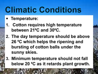  Temperature:
1. Cotton requires high temperature
between 21⁰C and 30⁰C.
2. The day temperature should be above
26 ⁰C which helps the ripening and
bursting of cotton balls under the
sunny skies.
3. Minimum temperature should not fall
below 20 ⁰C as it retards plant growth.
 