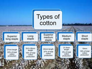 Types of
cotton
Superior
long staple
27mm length
33% of total
cotton
production
Long
staple
24.5–26mm
length
16% of total
cotton
production
Superior
medium
staple
24mm length
37% of total
cotton
production
Medium
staple
21.5mm
length
9% of total
cotton
production
Short
staple
19mm
16% of total
cotton
production
 