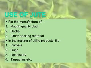  For the manufacture of -
1. Rough quality cloth
2. Sacks
3. Other packing material
 In the making of utility products like-
1. Carpets
2. Rugs
3. Upholstery
4. Tarpaulins etc.
 