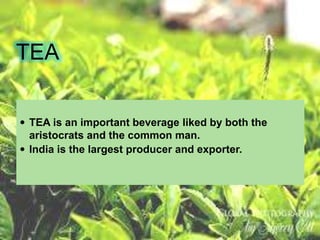 TEA
 TEA is an important beverage liked by both the
aristocrats and the common man.
 India is the largest producer and exporter.
 
