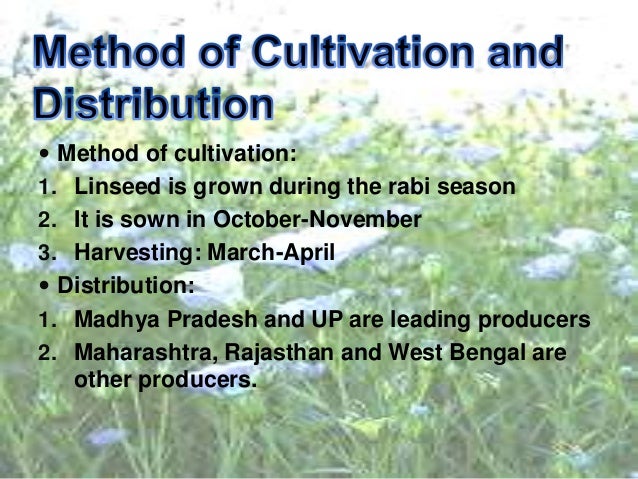 geography ppt cash crops crops ppt