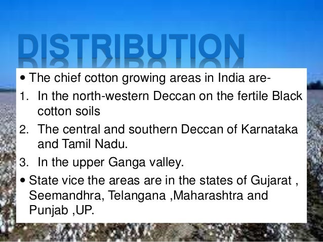geography ppt cash crops crops ppt