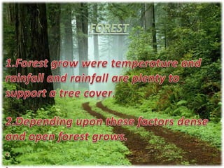 FOREST1.Forest grow were temperature and rainfall and rainfall are plenty to support a tree cover.2.Depending upon these factors dense and open forest grows...
