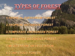 TYPES OF FOREST1.TROPICAL EVERGREEN FOREST2.TROPICAL DECIDIOUS FOREST3.TEMPERATE EVERGREEN FOREST4.TEMPERATE DECIDIOUS FOREST5.MEDITERRANEAN VEGETATION6.CONIFEROUS FOREST