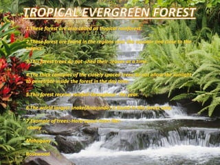 TROPICAL EVERGREEN FOREST1.These forest are also called as tropical rainforest.2.These forest are found in the regions near the equator and close to the tropics.3.This forest trees do not  shed their  leaves at a time.4.The thick canopies of the closely spaced trees do not allow the sunlight to penetrate inside the forest in the day time.5.This forest receive rainfall throughout  the year.6.The world largest snake(Anaconda) is found in this forest only.7.Example of trees:-Hard wood trees like:- ebony                                                                                                                            Mahogany Rosewood 1.These forest are also called as tropical rainforest.2.These forest are found near the equator and close to the tropics.3.These forest trees have thick canopies of the closely spaced trees which do not allow the sunlight to penetrate inside the forest in the day time.4.The world largest snake (Anaconda) is found in this forest only.5.This forest receive rainfall throughout the year.6.Some examples of trees found in tropical evergreen forest are:- Ebony         Mahogany        Rose wood trees