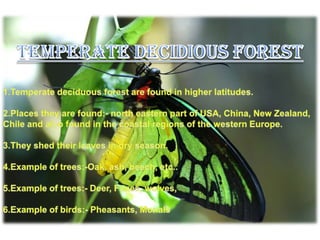 TEMPERATE DECIDIOUS FOREST1.Temperate deciduous forest are found in higher latitudes.2.Places they are found:- north eastern part of USA, China, New Zealand, Chile and also found in the coastal regions of the western Europe.3.They shed their leaves in dry season.4.Example of trees:-Oak, ash, beech, etc..5.Example of trees:- Deer, Foxes, wolves, 6.Example of birds:- Pheasants, Monals