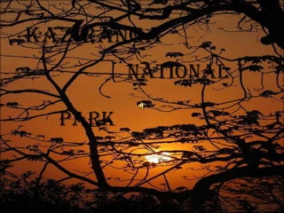 KAZIRANGa
         NATIONAL

  PARK
 