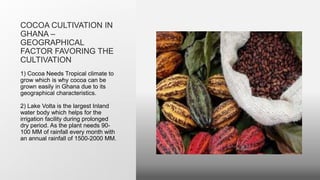 COCOA CULTIVATION IN
GHANA –
GEOGRAPHICAL
FACTOR FAVORING THE
CULTIVATION
1) Cocoa Needs Tropical climate to
grow which is why cocoa can be
grown easily in Ghana due to its
geographical characteristics.
2) Lake Volta is the largest Inland
water body which helps for the
irrigation facility during prolonged
dry period. As the plant needs 90-
100 MM of rainfall every month with
an annual rainfall of 1500-2000 MM.
 