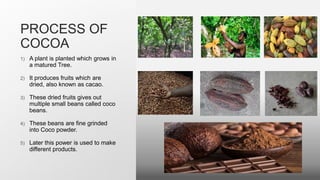 PROCESS OF
COCOA
1) A plant is planted which grows in
a matured Tree.
2) It produces fruits which are
dried, also known as cacao.
3) These dried fruits gives out
multiple small beans called coco
beans.
4) These beans are fine grinded
into Coco powder.
5) Later this power is used to make
different products.
 