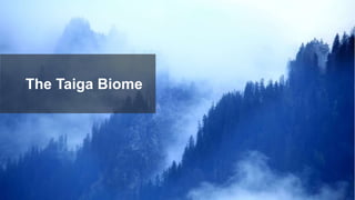 The Taiga Biome
 