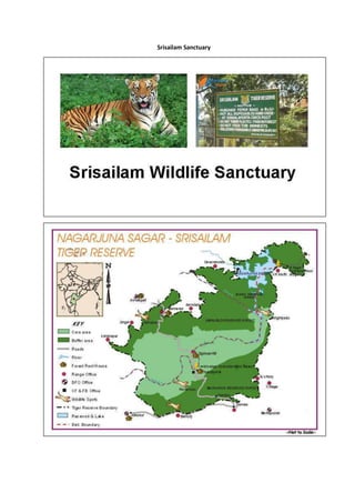 Srisailam Sanctuary