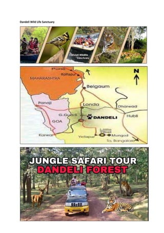 Dandeli Wild Life Sanctuary