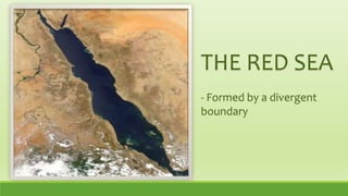 THE RED SEA
- Formed by a divergent
boundary
 