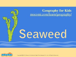 Seaweed
UNF FOR ME!
Copyright 2012 Mocomi & Anibrain Digital Technologies Pvt. Ltd. All Rights Reserved.©
Geography for Kids
mocomi.com/learn/geography/
 