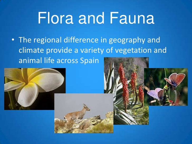 Geography spain