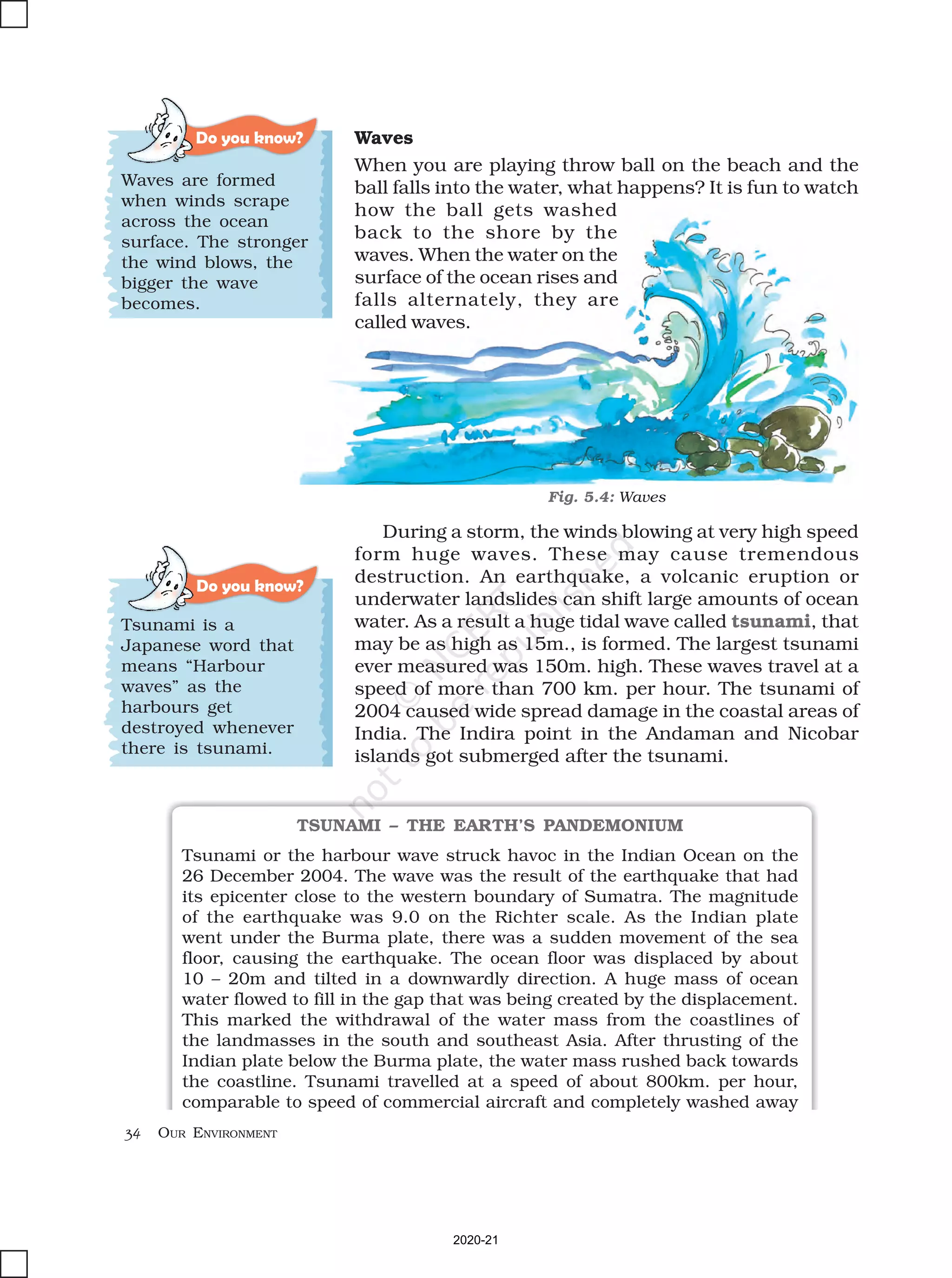 34 OUR ENVIRONMENT
Waves
When you are playing throw ball on the beach and the
ball falls into the water, what happens? It is fun to watch
how the ball gets washed
back to the shore by the
waves. When the water on the
surface of the ocean rises and
falls alternately, they are
called waves.
Do you know?
Tsunami is a
Japanese word that
means “Harbour
waves” as the
harbours get
destroyed whenever
there is tsunami.
TSUNAMI – THE EARTH’S PANDEMONIUM
Tsunami or the harbour wave struck havoc in the Indian Ocean on the
26 December 2004. The wave was the result of the earthquake that had
its epicenter close to the western boundary of Sumatra. The magnitude
of the earthquake was 9.0 on the Richter scale. As the Indian plate
went under the Burma plate, there was a sudden movement of the sea
floor, causing the earthquake. The ocean floor was displaced by about
10 – 20m and tilted in a downwardly direction. A huge mass of ocean
water flowed to fill in the gap that was being created by the displacement.
This marked the withdrawal of the water mass from the coastlines of
the landmasses in the south and southeast Asia. After thrusting of the
Indian plate below the Burma plate, the water mass rushed back towards
the coastline. Tsunami travelled at a speed of about 800km. per hour,
comparable to speed of commercial aircraft and completely washed away
Do you know?
Waves are formed
when winds scrape
across the ocean
surface. The stronger
the wind blows, the
bigger the wave
becomes.
Fig. 5.4: Waves
During a storm, the winds blowing at very high speed
form huge waves. These may cause tremendous
destruction. An earthquake, a volcanic eruption or
underwater landslides can shift large amounts of ocean
water. As a result a huge tidal wave called tsunami, that
may be as high as 15m., is formed. The largest tsunami
ever measured was 150m. high. These waves travel at a
speed of more than 700 km. per hour. The tsunami of
2004 caused wide spread damage in the coastal areas of
India. The Indira point in the Andaman and Nicobar
islands got submerged after the tsunami.
2020-21
 