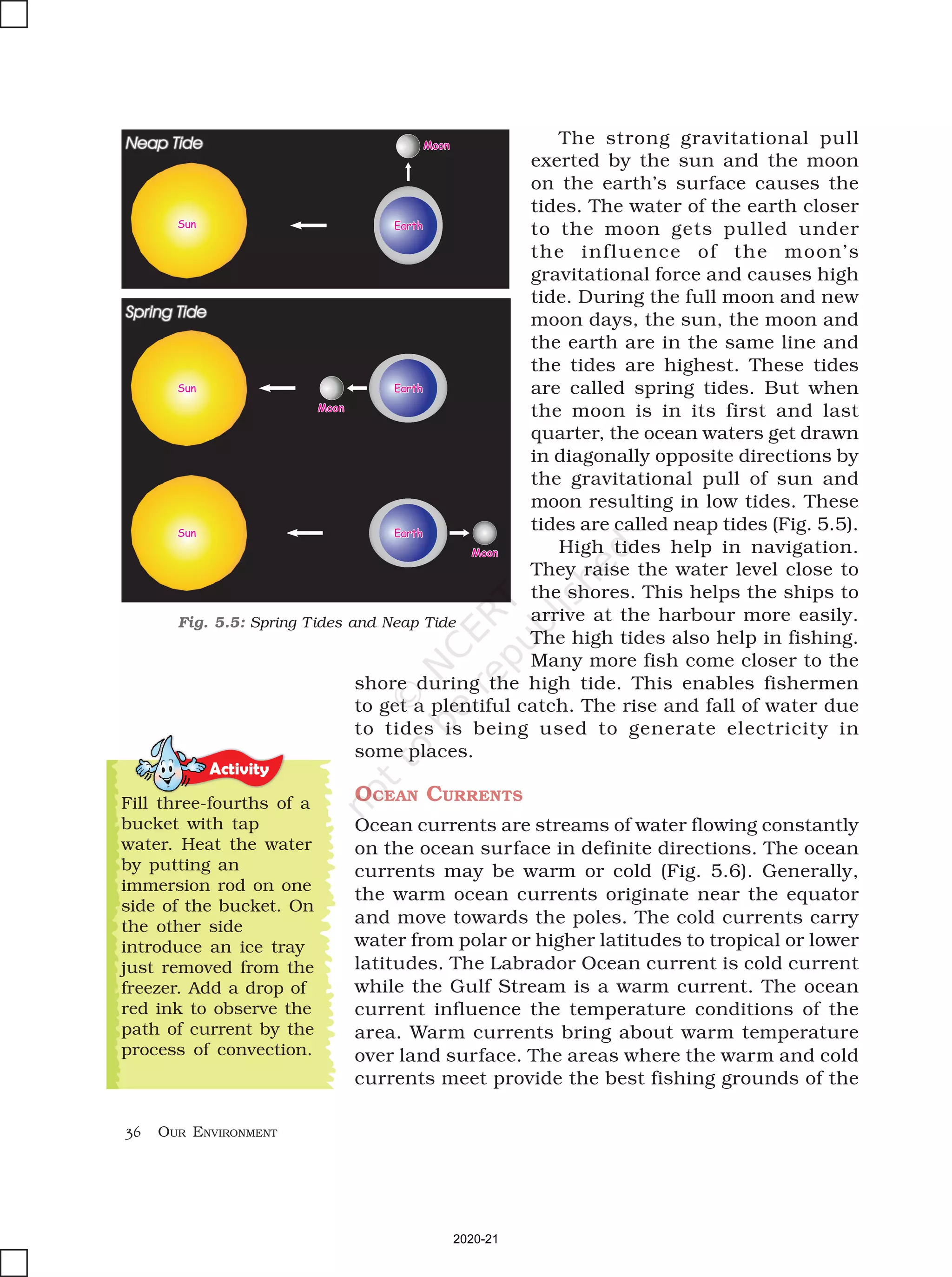 36 OUR ENVIRONMENT
The strong gravitational pull
exerted by the sun and the moon
on the earth’s surface causes the
tides. The water of the earth closer
to the moon gets pulled under
the influence of the moon’s
gravitational force and causes high
tide. During the full moon and new
moon days, the sun, the moon and
the earth are in the same line and
the tides are highest. These tides
are called spring tides. But when
the moon is in its first and last
quarter, the ocean waters get drawn
in diagonally opposite directions by
the gravitational pull of sun and
moon resulting in low tides. These
tides are called neap tides (Fig. 5.5).
High tides help in navigation.
They raise the water level close to
the shores. This helps the ships to
arrive at the harbour more easily.
The high tides also help in fishing.
Many more fish come closer to the
shore during the high tide. This enables fishermen
to get a plentiful catch. The rise and fall of water due
to tides is being used to generate electricity in
some places.
OCEAN CURRENTS
Ocean currents are streams of water flowing constantly
on the ocean surface in definite directions. The ocean
currents may be warm or cold (Fig. 5.6). Generally,
the warm ocean currents originate near the equator
and move towards the poles. The cold currents carry
water from polar or higher latitudes to tropical or lower
latitudes. The Labrador Ocean current is cold current
while the Gulf Stream is a warm current. The ocean
current influence the temperature conditions of the
area. Warm currents bring about warm temperature
over land surface. The areas where the warm and cold
currents meet provide the best fishing grounds of the
Activity
Fill three-fourths of a
bucket with tap
water. Heat the water
by putting an
immersion rod on one
side of the bucket. On
the other side
introduce an ice tray
just removed from the
freezer. Add a drop of
red ink to observe the
path of current by the
process of convection.
Fig. 5.5: Spring Tides and Neap Tide
Spring Tide
Sun Earth
Moon
Sun Earth
Moon
Sun Earth
Moon
Neap Tide
2020-21
 