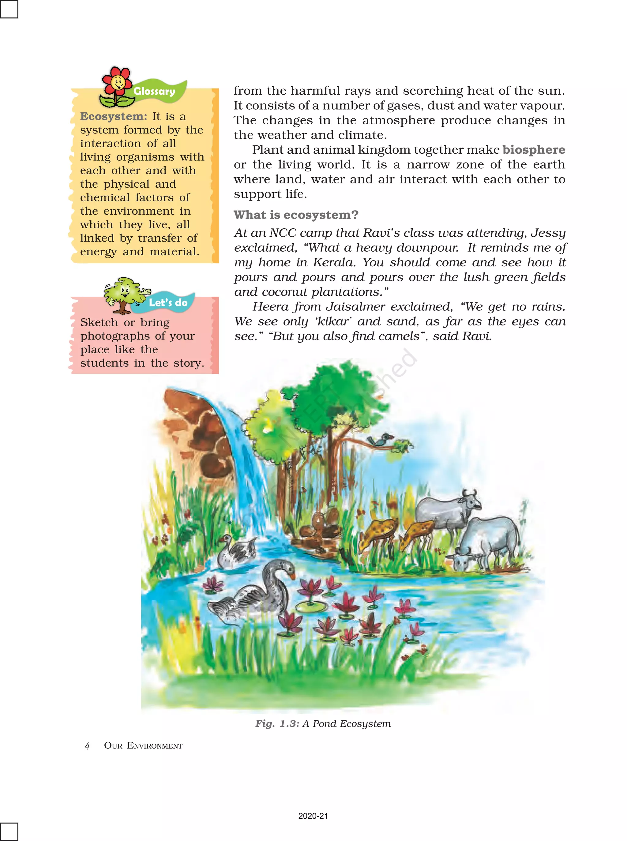 4 OUR ENVIRONMENT
Glossary
Fig. 1.3: A Pond Ecosystem
from the harmful rays and scorching heat of the sun.
It consists of a number of gases, dust and water vapour.
The changes in the atmosphere produce changes in
the weather and climate.
Plant and animal kingdom together make biosphere
or the living world. It is a narrow zone of the earth
where land, water and air interact with each other to
support life.
What is ecosystem?
At an NCC camp that Ravi’s class was attending, Jessy
exclaimed, “What a heavy downpour. It reminds me of
my home in Kerala. You should come and see how it
pours and pours and pours over the lush green fields
and coconut plantations.”
Heera from Jaisalmer exclaimed, “We get no rains.
We see only ‘kikar’ and sand, as far as the eyes can
see.” “But you also find camels”, said Ravi.
Let’s do
Sketch or bring
photographs of your
place like the
students in the story.
Ecosystem: It is a
system formed by the
interaction of all
living organisms with
each other and with
the physical and
chemical factors of
the environment in
which they live, all
linked by transfer of
energy and material.
2020-21
 
