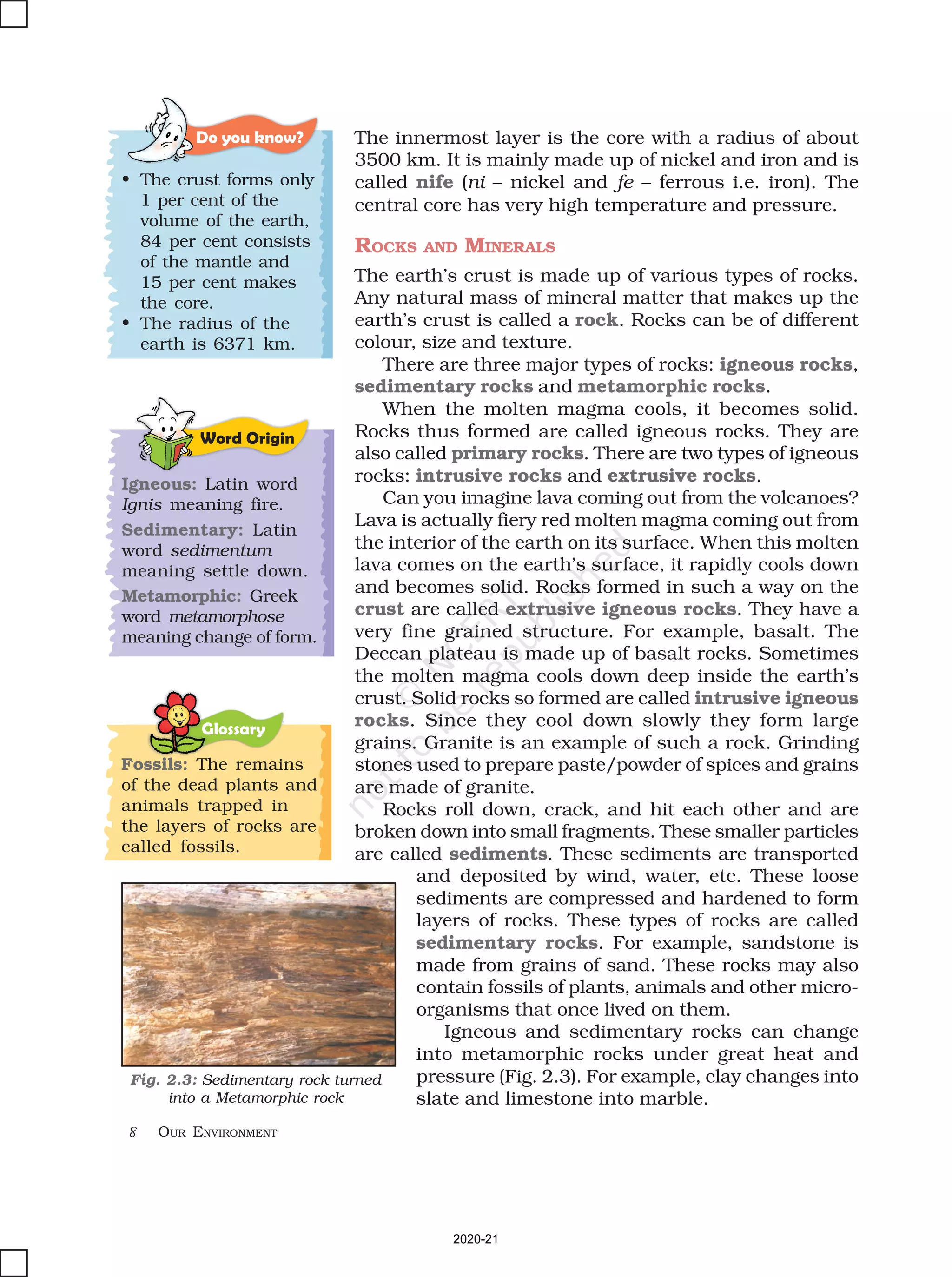 8 OUR ENVIRONMENT
Glossary
The innermost layer is the core with a radius of about
3500 km. It is mainly made up of nickel and iron and is
called nife (ni – nickel and fe – ferrous i.e. iron). The
central core has very high temperature and pressure.
ROCKS AND MINERALS
The earth’s crust is made up of various types of rocks.
Any natural mass of mineral matter that makes up the
earth’s crust is called a rock. Rocks can be of different
colour, size and texture.
There are three major types of rocks: igneous rocks,
sedimentary rocks and metamorphic rocks.
When the molten magma cools, it becomes solid.
Rocks thus formed are called igneous rocks. They are
also called primary rocks. There are two types of igneous
rocks: intrusive rocks and extrusive rocks.
Can you imagine lava coming out from the volcanoes?
Lava is actually fiery red molten magma coming out from
the interior of the earth on its surface. When this molten
lava comes on the earth’s surface, it rapidly cools down
and becomes solid. Rocks formed in such a way on the
crust are called extrusive igneous rocks. They have a
very fine grained structure. For example, basalt. The
Deccan plateau is made up of basalt rocks. Sometimes
the molten magma cools down deep inside the earth’s
crust. Solid rocks so formed are called intrusive igneous
rocks. Since they cool down slowly they form large
grains. Granite is an example of such a rock. Grinding
stones used to prepare paste/powder of spices and grains
are made of granite.
Rocks roll down, crack, and hit each other and are
broken down into small fragments. These smaller particles
are called sediments. These sediments are transported
and deposited by wind, water, etc. These loose
sediments are compressed and hardened to form
layers of rocks. These types of rocks are called
sedimentary rocks. For example, sandstone is
made from grains of sand. These rocks may also
contain fossils of plants, animals and other micro-
organisms that once lived on them.
Igneous and sedimentary rocks can change
into metamorphic rocks under great heat and
pressure (Fig. 2.3). For example, clay changes into
slate and limestone into marble.
Fig. 2.3: Sedimentary rock turned
into a Metamorphic rock
Fossils: The remains
of the dead plants and
animals trapped in
the layers of rocks are
called fossils.
Word Origin
Igneous: Latin word
Ignis meaning fire.
Sedimentary: Latin
word sedimentum
meaning settle down.
Metamorphic: Greek
word metamorphose
meaning change of form.
Do you know?
• The crust forms only
1 per cent of the
volume of the earth,
84 per cent consists
of the mantle and
15 per cent makes
the core.
• The radius of the
earth is 6371 km.
2020-21
 