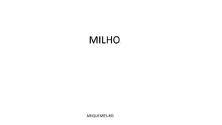 MILHO
ARIQUEMES-RO
 