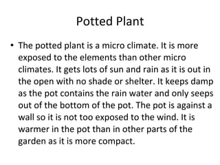 Microclimate | PPT