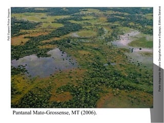 ParteintegrantedaobraGeografiaHomemeEspaço,EditoraSaraiva
Pantanal Mato-Grossense, MT (2006).
PalêZuppani/PulsarImagens
 