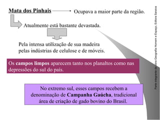 ParteintegrantedaobraGeografiaHomemeEspaço,EditoraSaraiva
No extremo sul, esses campos recebem a
denominação de Campanha Gaúcha, tradicional
área de criação de gado bovino do Brasil.
Mata dos Pinhais Ocupava a maior parte da região.
Atualmente está bastante devastada.
Pela intensa utilização de sua madeira
pelas indústrias de celulose e de móveis.
Os campos limpos aparecem tanto nos planaltos como nas
depressões do sul do país.
 