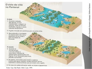 ParteintegrantedaobraGeografiaHomemeEspaço,EditoraSaraiva
Fonte: Veja. São Paulo: Abril. 2 jun. 1999.
 