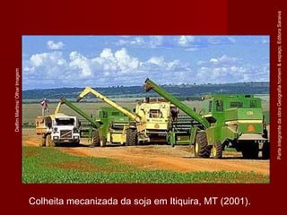 ParteintegrantedaobraGeografiahomem&espaço,EditoraSaraiva
Colheita mecanizada da soja em Itiquira, MT (2001).
DelfimMartins/OlharImagem
 