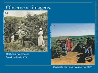 ParteintegrantedaobraGeografiahomem&espaço,EditoraSaraiva
Observe as imagens.
Colheita de café no
fim do século XIX.
Colheita de café no ano de 2001.
MarcFerrez/AcervoInstitutoMoreiraSalles
DelfimMartins/PulsarImagens
 