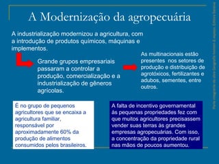 ParteintegrantedaobraGeografiahomem&espaço,EditoraSaraiva
A Modernização da agropecuária
A industrialização modernizou a agricultura, com
a introdução de produtos químicos, máquinas e
implementos.
Grande grupos empresariais
passaram a controlar a
produção, comercialização e a
industrialização de gêneros
agrícolas.
As multinacionais estão
presentes nos setores de
produção e distribuição de
agrotóxicos, fertilizantes e
adubos, sementes, entre
outros.
É no grupo de pequenos
agricultores que se encaixa a
agricultura familiar,
responsável por
aproximadamente 60% da
produção de alimentos
consumidos pelos brasileiros.
A falta de incentivo governamental
às pequenas propriedades fez com
que muitos agricultores precisassem
vender suas terras às grandes
empresas agropecuárias. Com isso,
a concentração da propriedade rural
nas mãos de poucos aumentou.
 